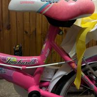 Bicicletta  bambina 14 pollici