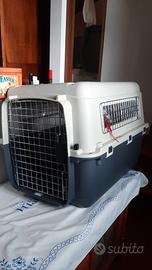 trasportino per gatto o cane