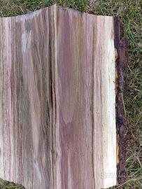 Tronchi d albero essenza Noce canadese