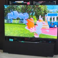 TV LG 3D 55"