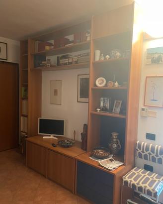 Mobile tv/ libreria