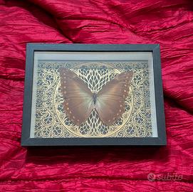 Quadro con farfalla