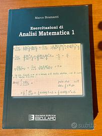 Eserciziario di Analisi Matematica 1 Bramanti