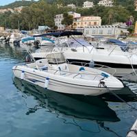 Ranieri Voyager 19 +Suzuki ARI 40/70 + Carrello