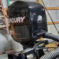 Mercury Optimax 200 225 gambo L anno 2012