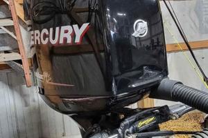 Mercury Optimax 200 225 gambo L anno 2012