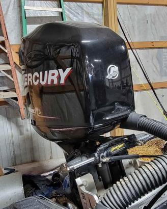 Mercury Optimax 200 225 gambo L anno 2012