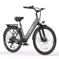 E BIKE Bicicletta a pedalata assistita HILL MILES