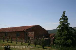 AG32 - Radicofani azienda agricola in posi