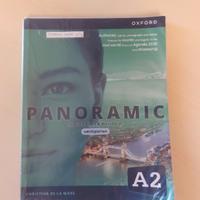 Panoramic (A2)