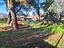 Immagine 18