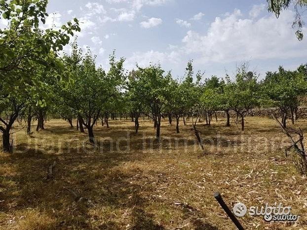 Terreno agricolo pianeggiante a Piedimonte Etneo - Vista 5
