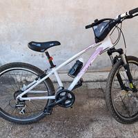 bicicletta mtb modello Scout