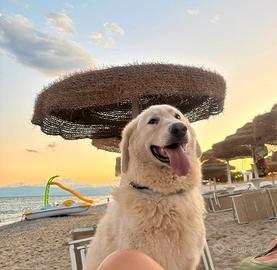 Titty e Tony: oltre le sbarre, verso il cuore