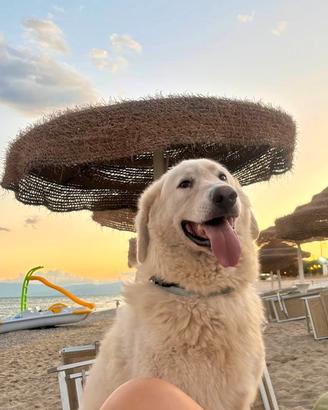 Titty e Tony: oltre le sbarre, verso il cuore