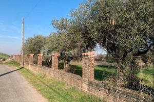 Terreno agricolo e azienda agricola