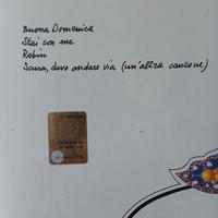 disco vinile 33 giri 