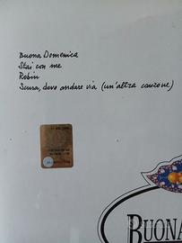 disco vinile 33 giri 