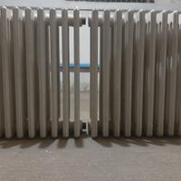 Termosifone in ghisa