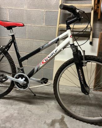 Bicicletta