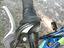 Immagine 3