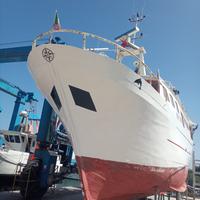 Peschereccio MF 3096