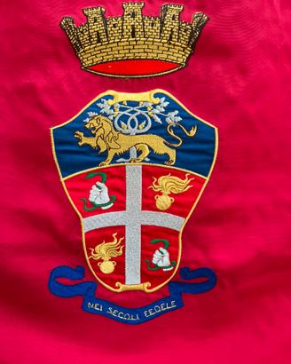 Stendardo carabinieri