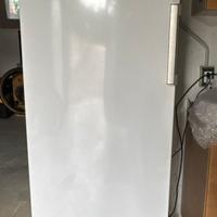 Congelatore verticale indesit