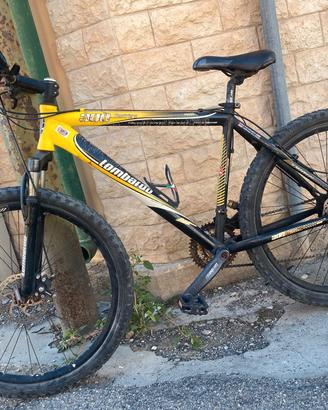 mountain bike 