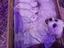 Immagine 4