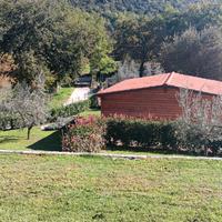 Casetta in Legno con Ampio Giardino