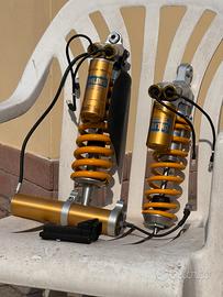 Ohlins BMW GS 1200 ESA 2004-2012