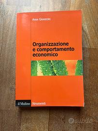 Organizzazione e comportamento economico
