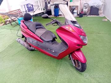 Yamaha Majesty 250