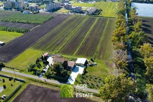 Pontinia (LT) - Terreno 4 HA fronte strada | TR407