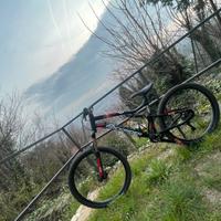 Bici da trail