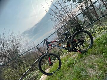 Bici da trail