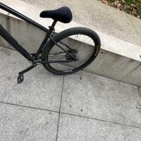 Wheelie bike