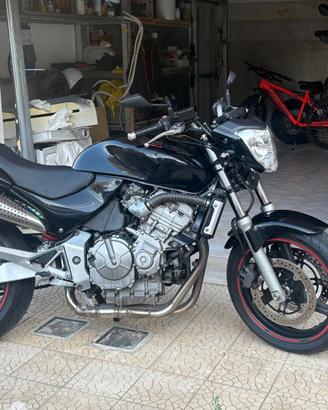 Honda Hornet