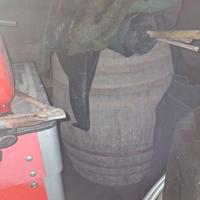 Barile da ristrutturare in legno