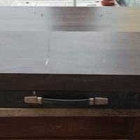 Organo Gem P-10 Vintage Dual Combo