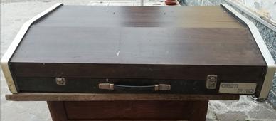 Organo Gem P-10 Vintage Dual Combo