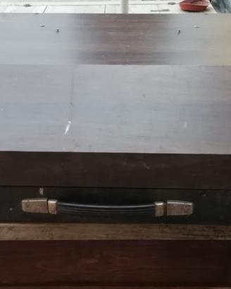 Organo Gem P-10 Vintage Dual Combo