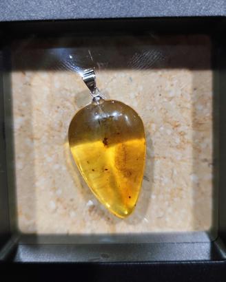Pendente in ambra naturale con insetto – 3 g