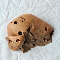 4 Prese per arrampicata in legno 