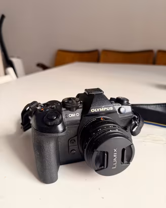 Olympus OM-D E-M1 Mark II + Panasonic Leica 15mm f