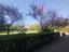 Immagine 23
