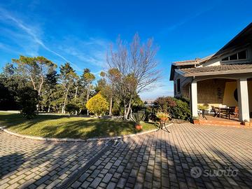 Tutto ciò che desideri è qui