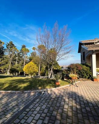 Tutto ciò che desideri è qui