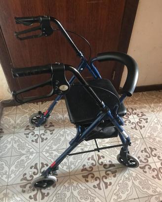 deambulatore anziani